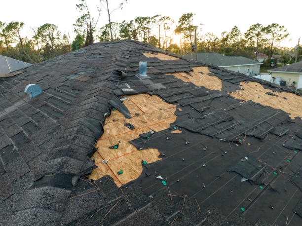 Best Emergency Roof Repair Services  in Argos, IN